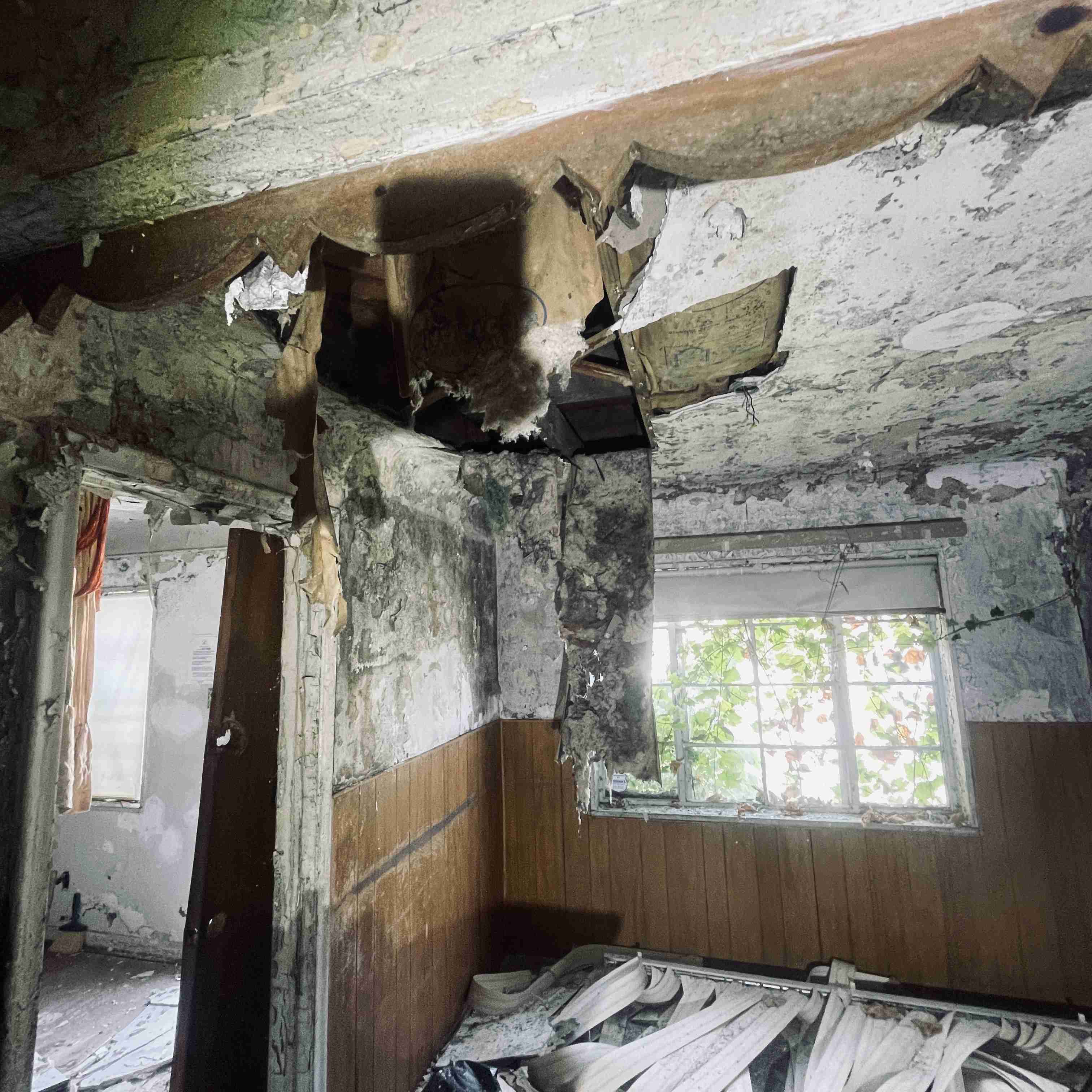 4277 TUXEDO (57).jpg